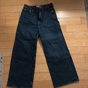 Everlane “The way high wide leg flare”